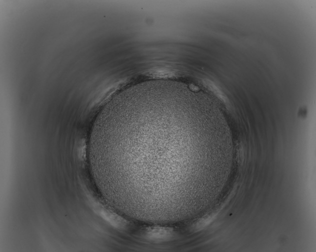X0000089950549200707061122