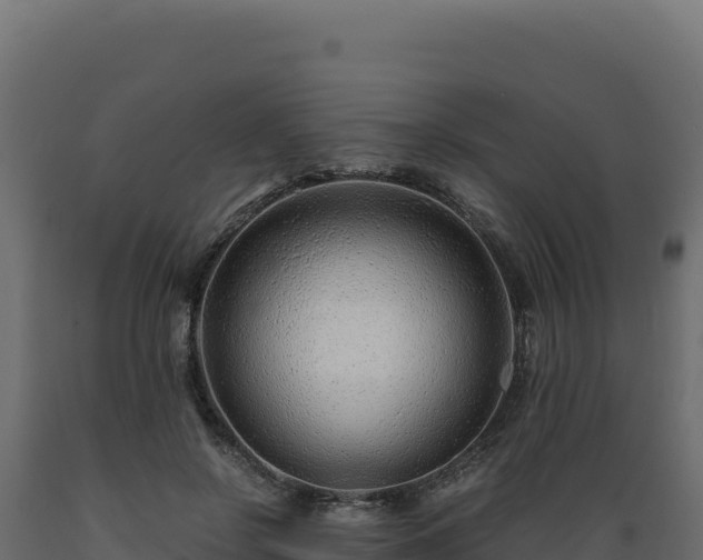 X0000089950550200707061122