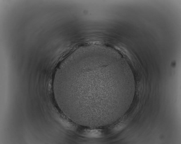 X0000089950553200707061122