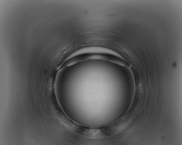 X0000089950554200707061122