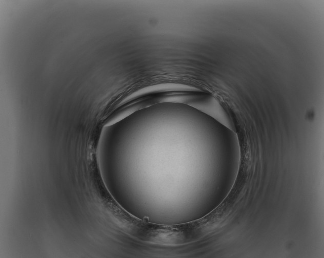 X0000089950555200707061122