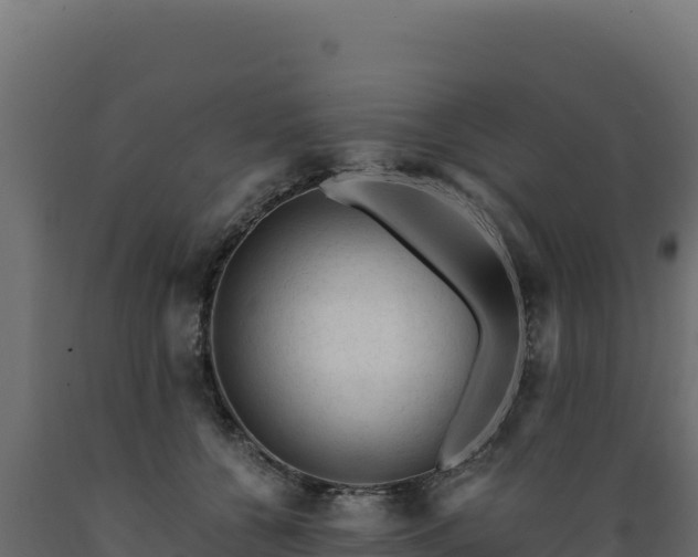 X0000089950560200707061123