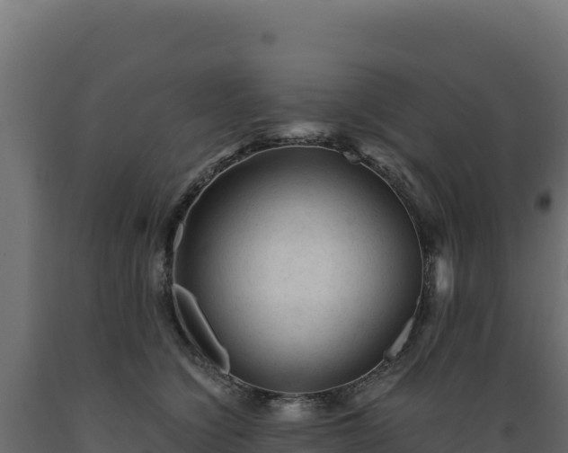 X0000089950564200707061123