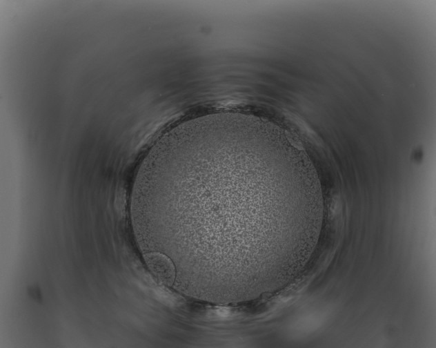 X0000089950565200707061123