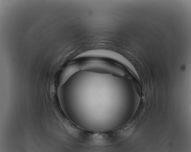 X0000089950566200707061123