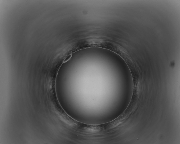 X0000089950567200707061123