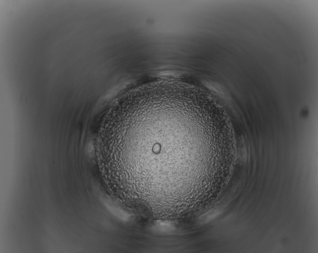 X0000089950573200707061123