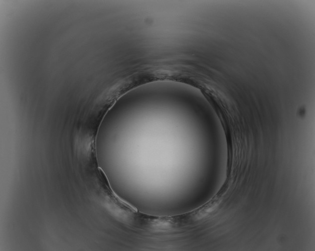 X0000089950574200707061123
