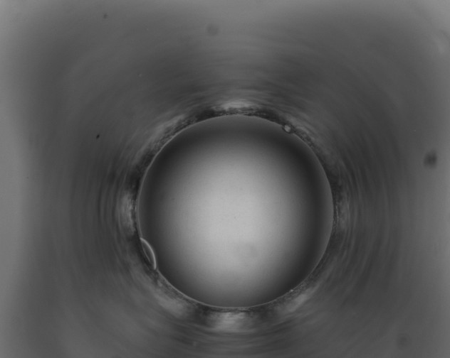 X0000089950575200707061123