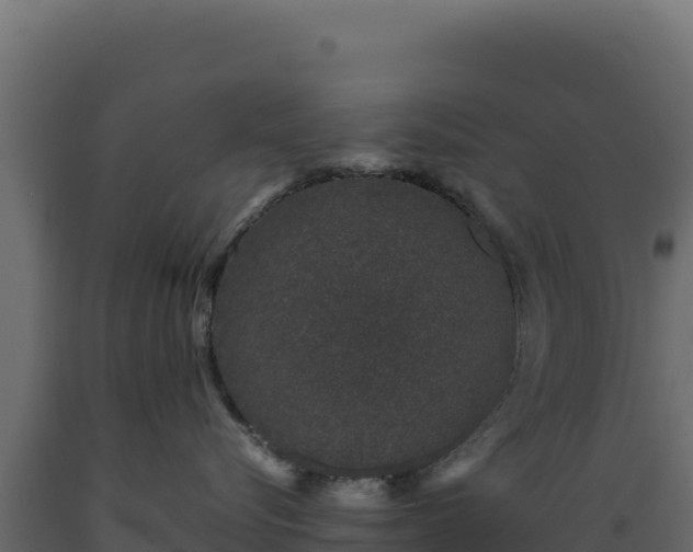 X0000089950576200707061123