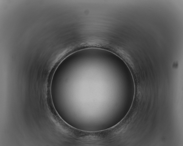 X0000089950578200707061122