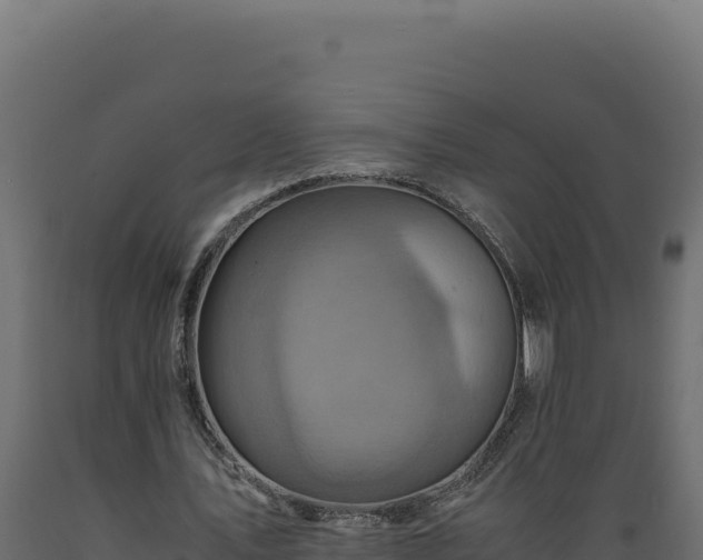X0000089950579200707061122