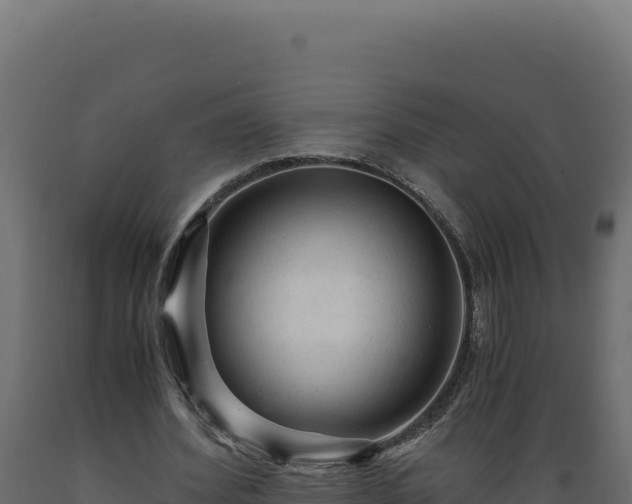 X0000089950580200707061122