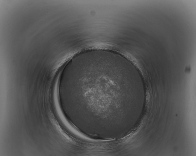 X0000089950581200707061122