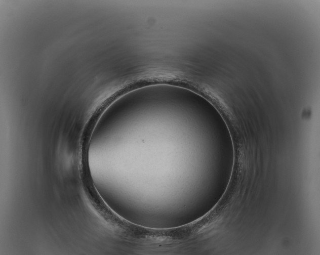 X0000089950582200707061122
