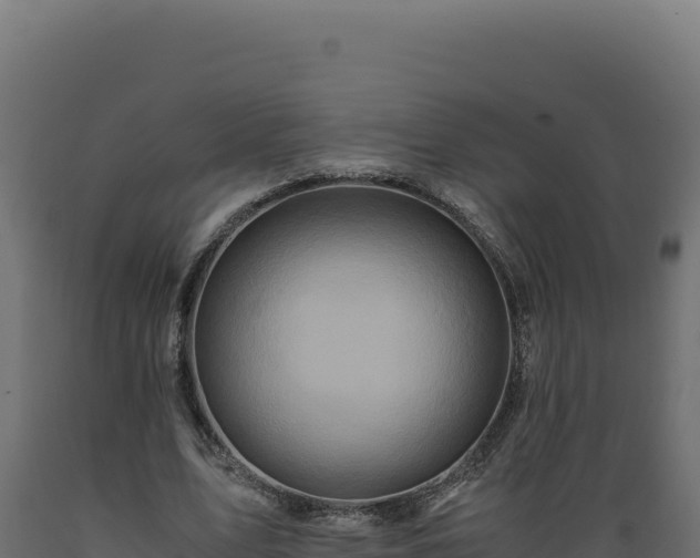 X0000089950583200707061122