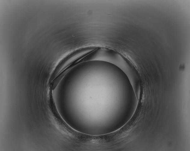 X0000089950584200707061122