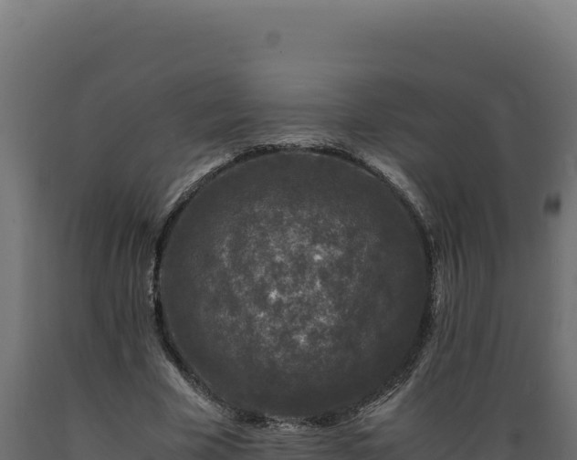 X0000089950585200707061122