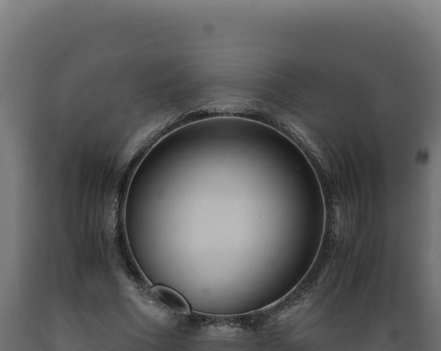 X0000089950586200707061122