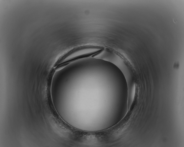 X0000089950588200707061122