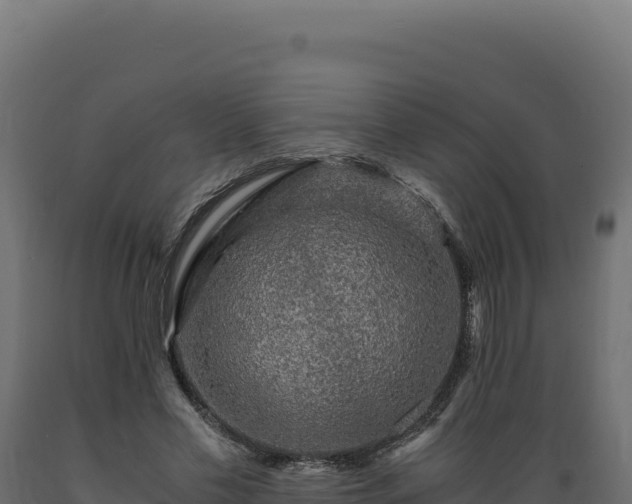 X0000089950589200707061122