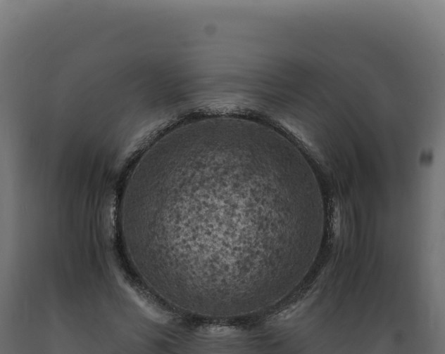 X0000089950590200707061122
