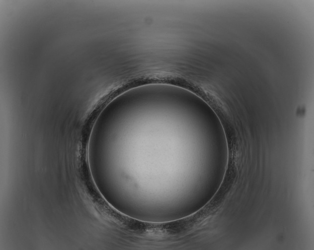 X0000089950591200707061122