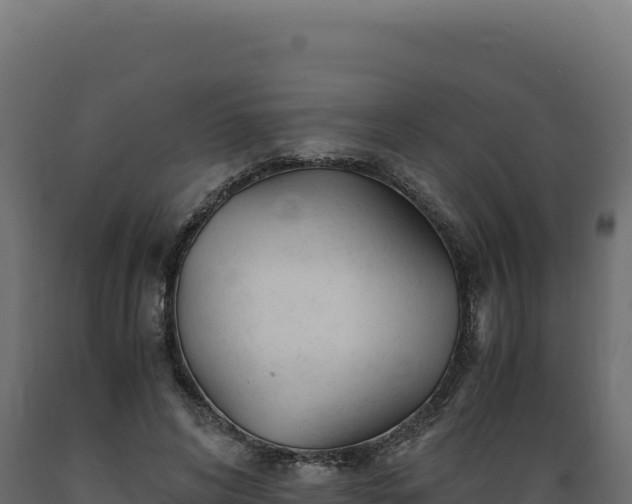 X0000089950592200707061122