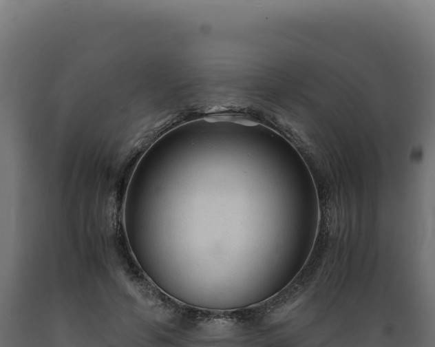 X0000089950594200707061122