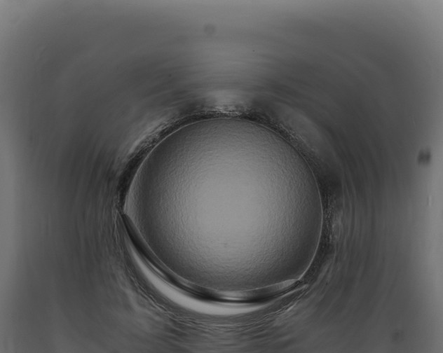 X0000089950595200707061122