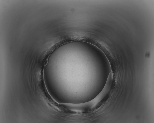 X0000089950596200707061122