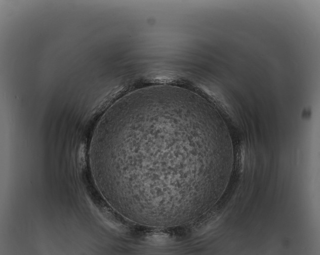 X0000089950598200707061122