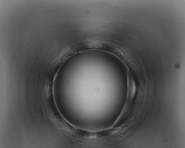 X0000089950600200707061122