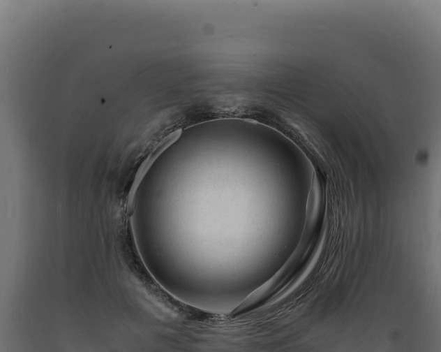 X0000089950601200707061122