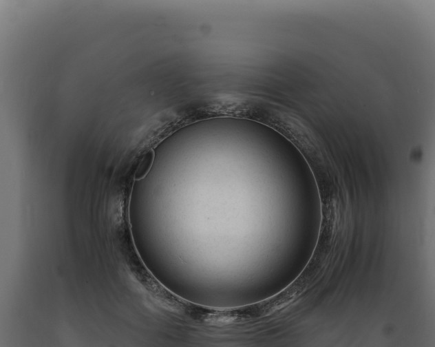 X0000089950602200707061122