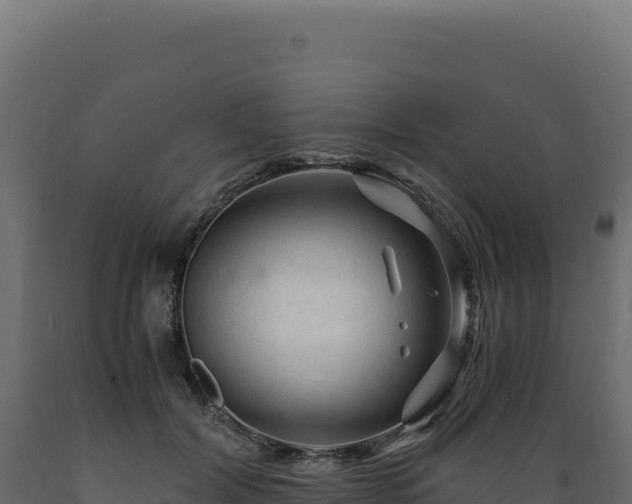 X0000089950604200707061122