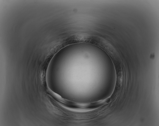 X0000089950605200707061122