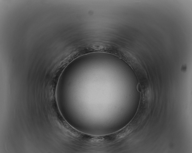 X0000089950606200707061122