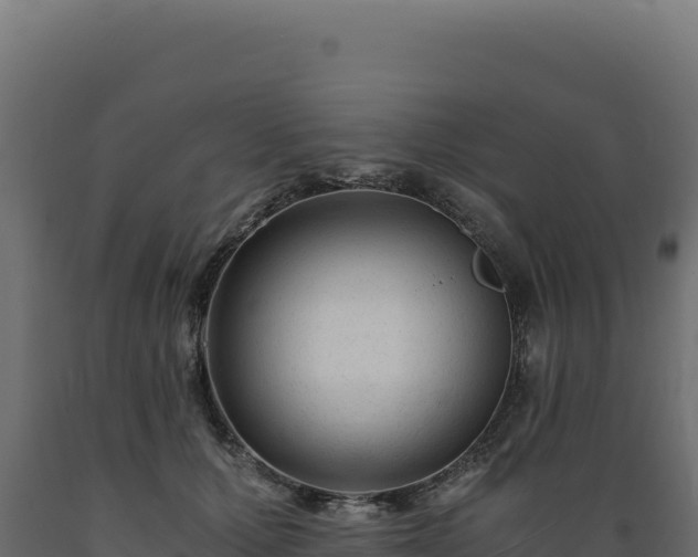 X0000089950607200707061122