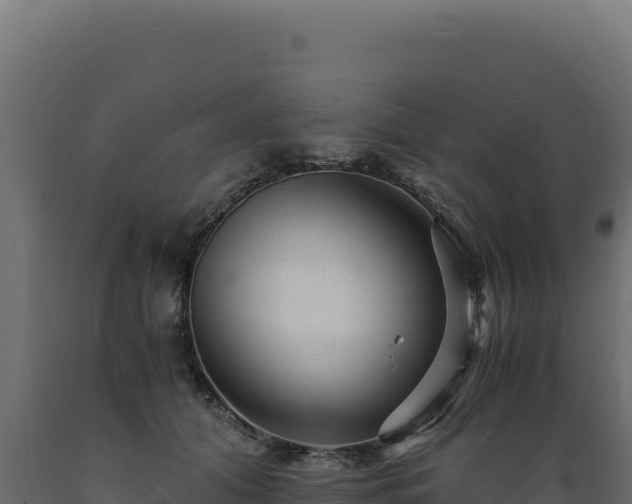 X0000089950608200707061122