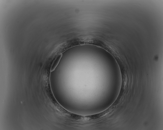 X0000089950609200707061122