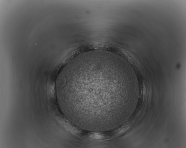 X0000089950610200707061122