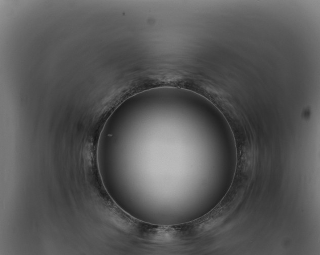 X0000089950612200707061122