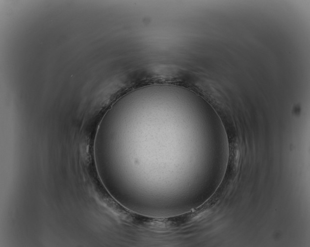 X0000089950615200707061122