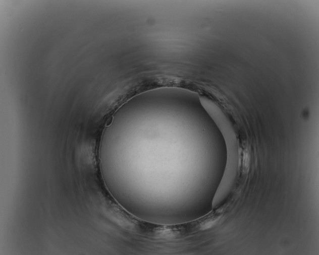 X0000089950616200707061122