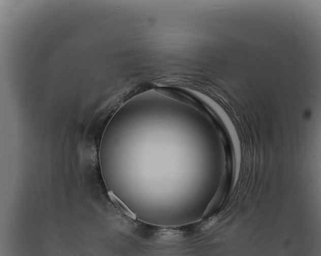 X0000089950617200707061122