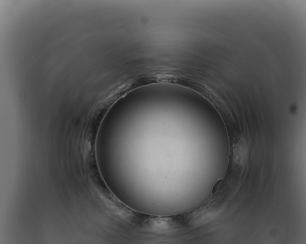 X0000089950618200707061122