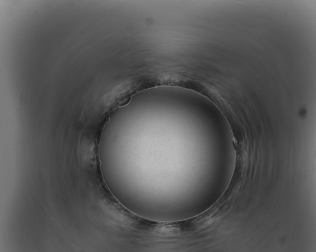 X0000089950619200707061122