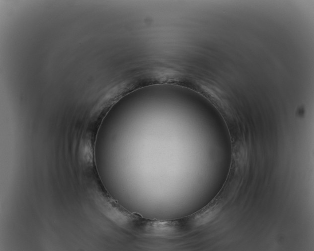 X0000089950622200707061122