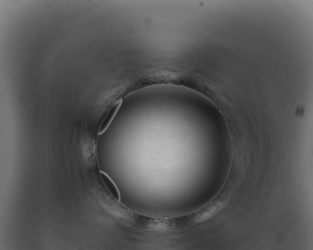 X0000089950624200707061122